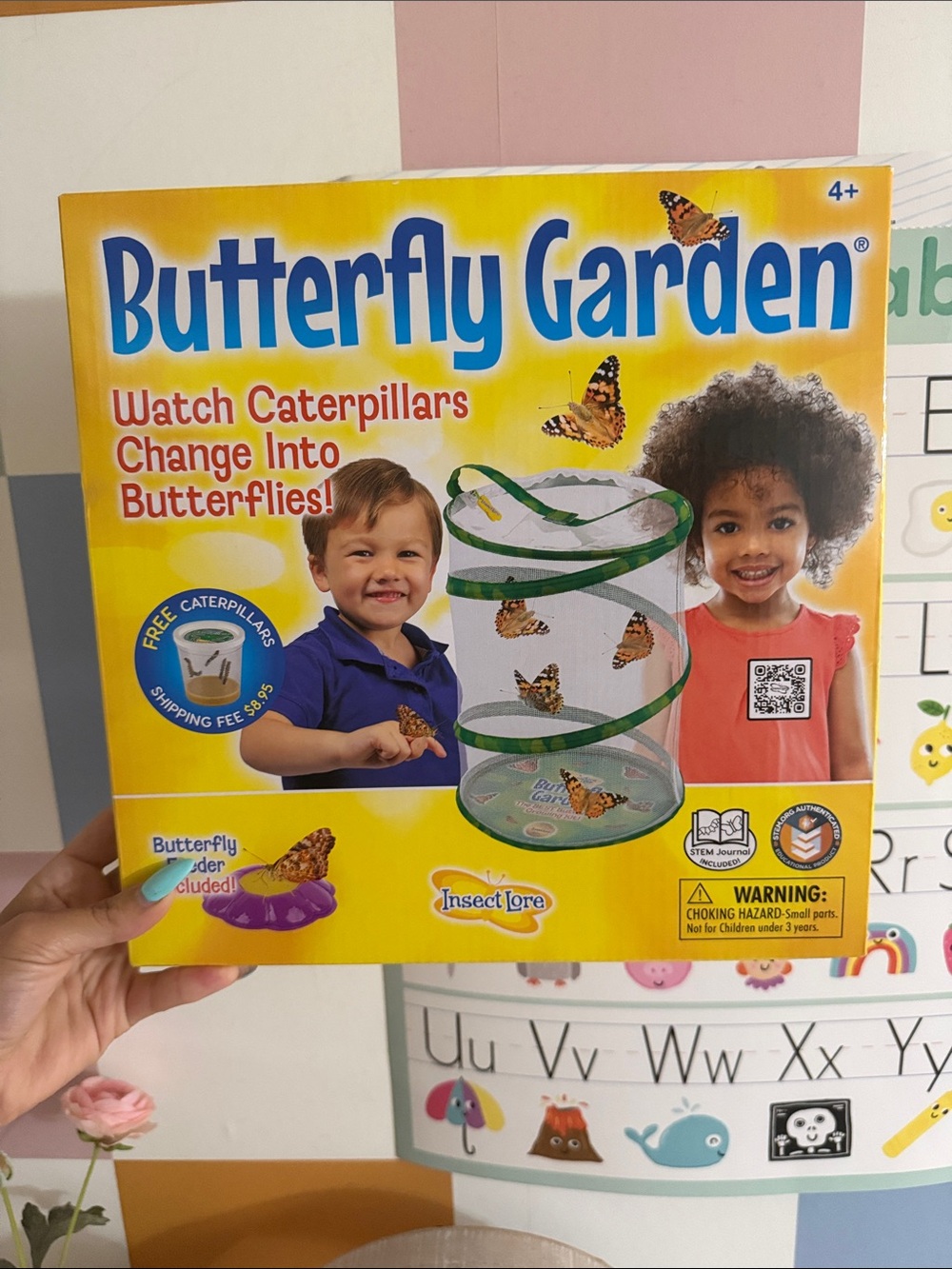Butterfly Garden Caterpillar to Butterfly Kit - Yellow/Green